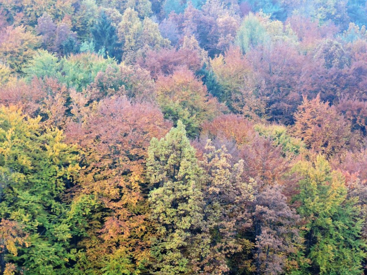Gaestezimmer Klopfer Sankt Johann im Saggautal Ngoại thất bức ảnh